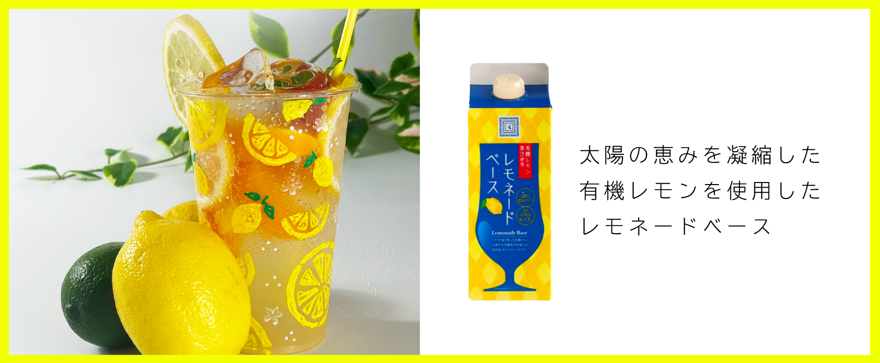 紀ノ国屋クラシックバッグ