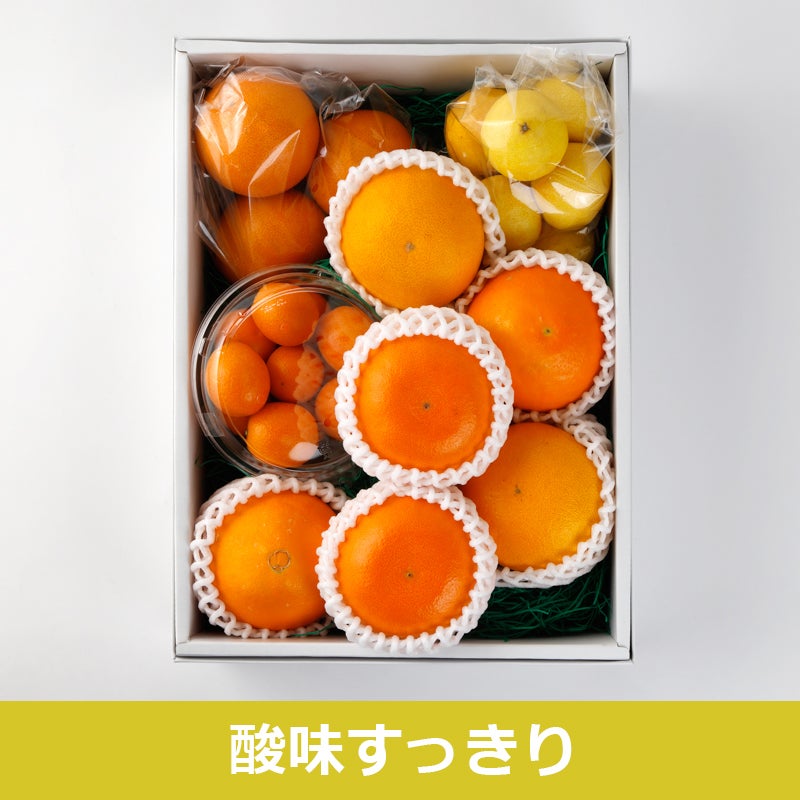 酸味すっきり!柑橘アソート