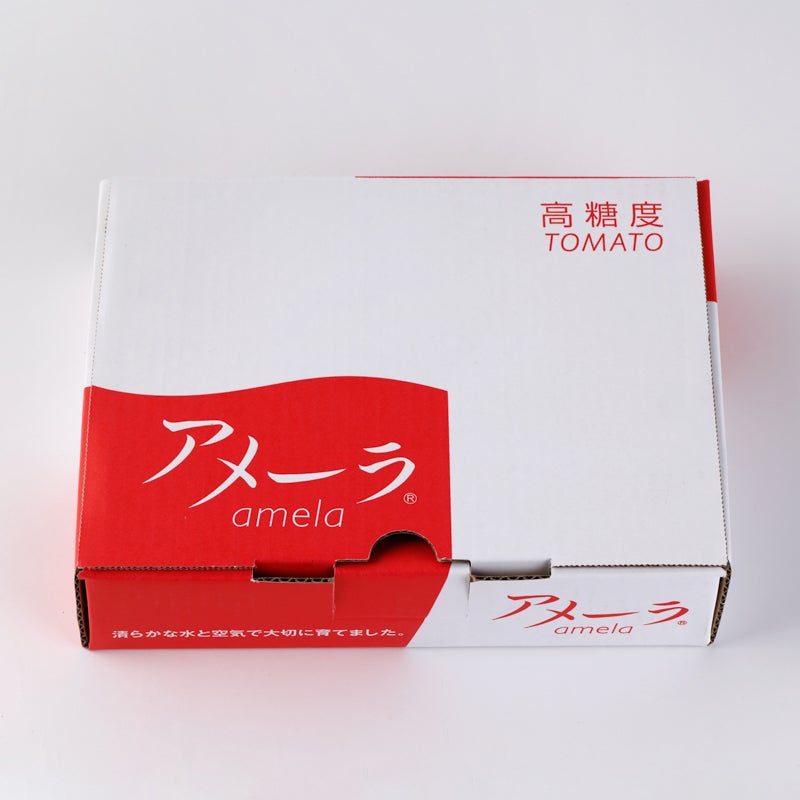 コバヤシさん専用 アメーラトマト4ケース バイヤーおすすめ】アメーラトマト（長野／静岡）（冷蔵）（ご自宅用