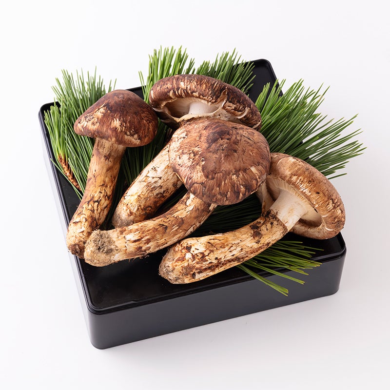 バイヤーおすすめ】岩手県産 天然松茸 約400g（5～8本入）【冷蔵